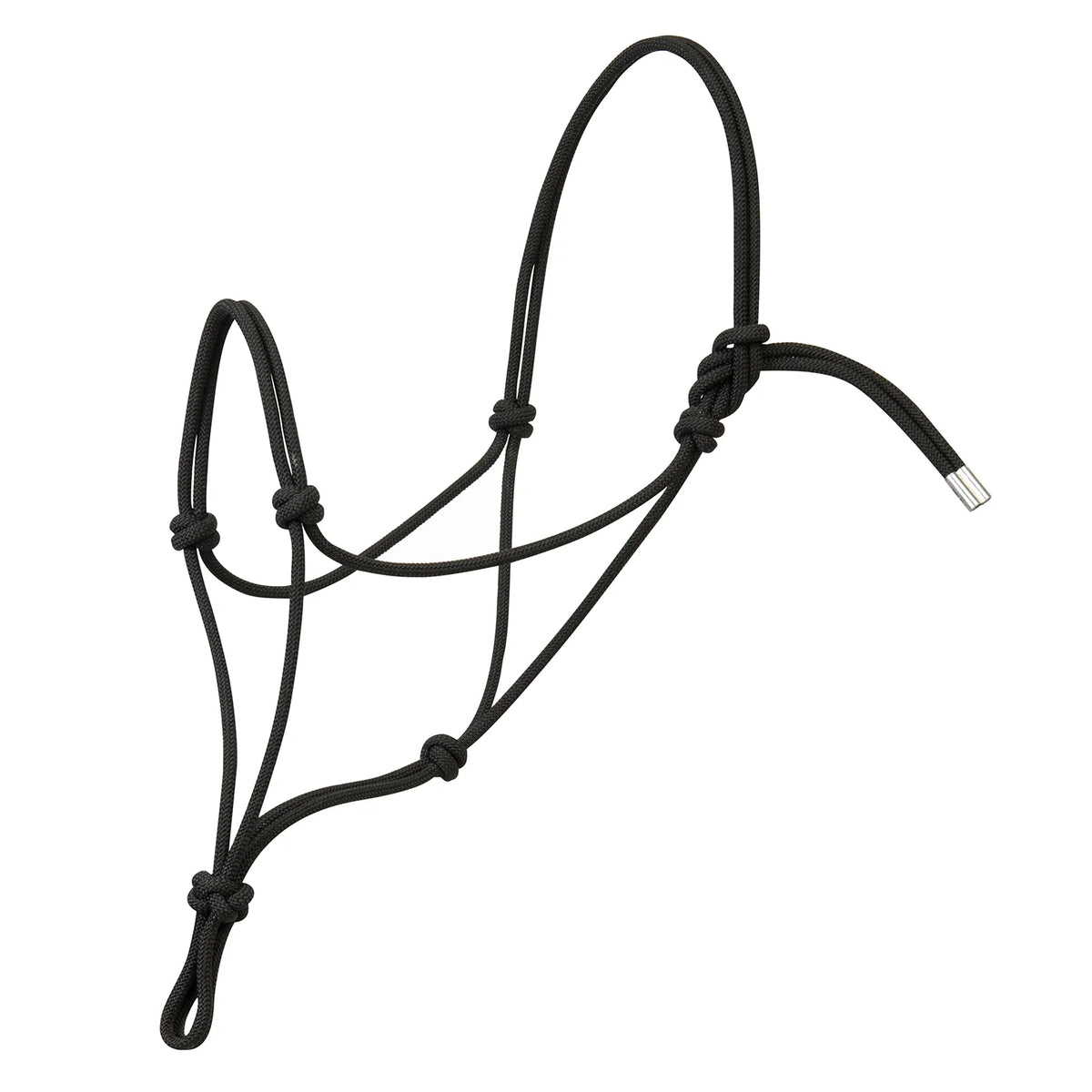 2026 WV Halter: Silvertip No.95, Rope, Average, Black