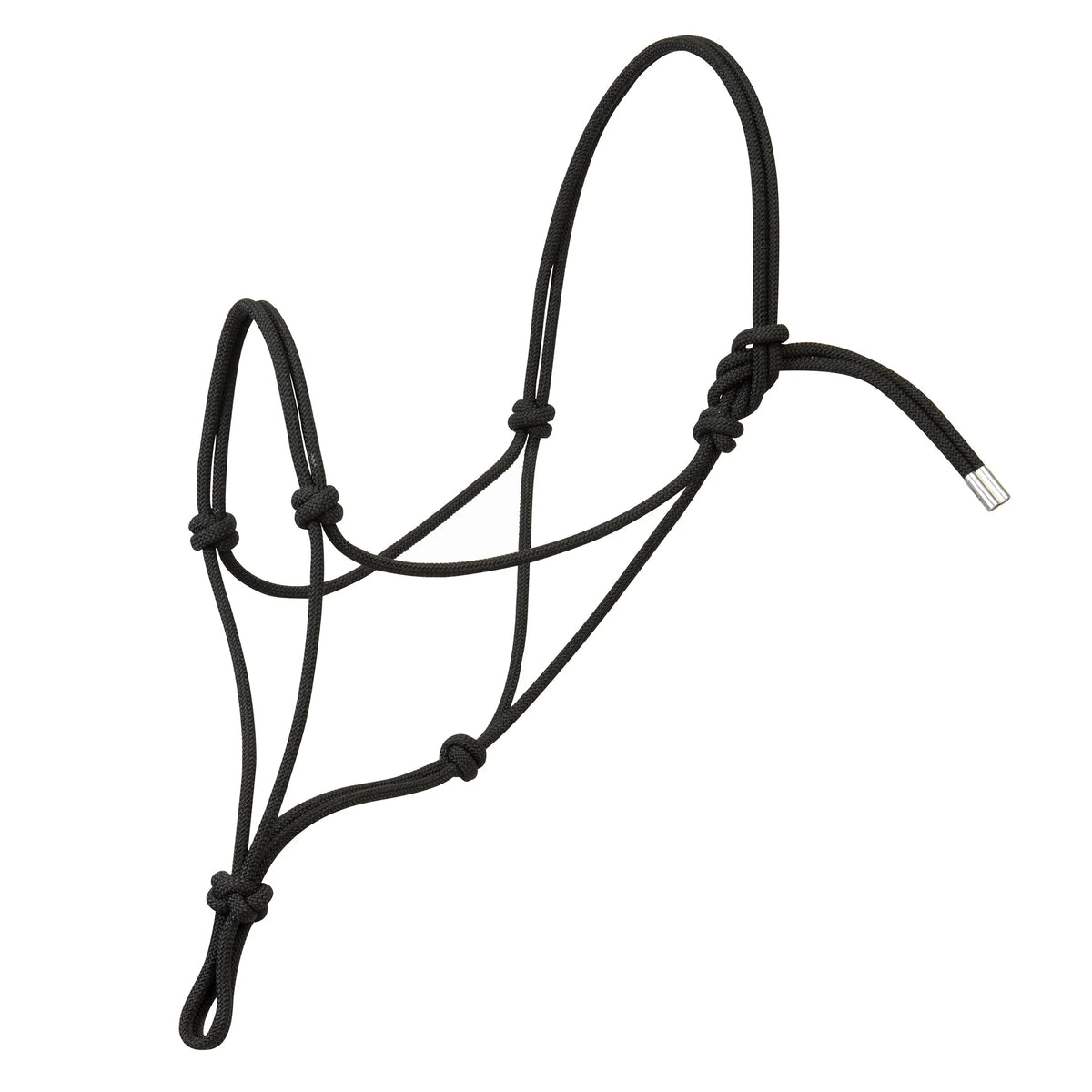 2026 WV Halter: Silvertip No.95, Rope, Draft, Black
