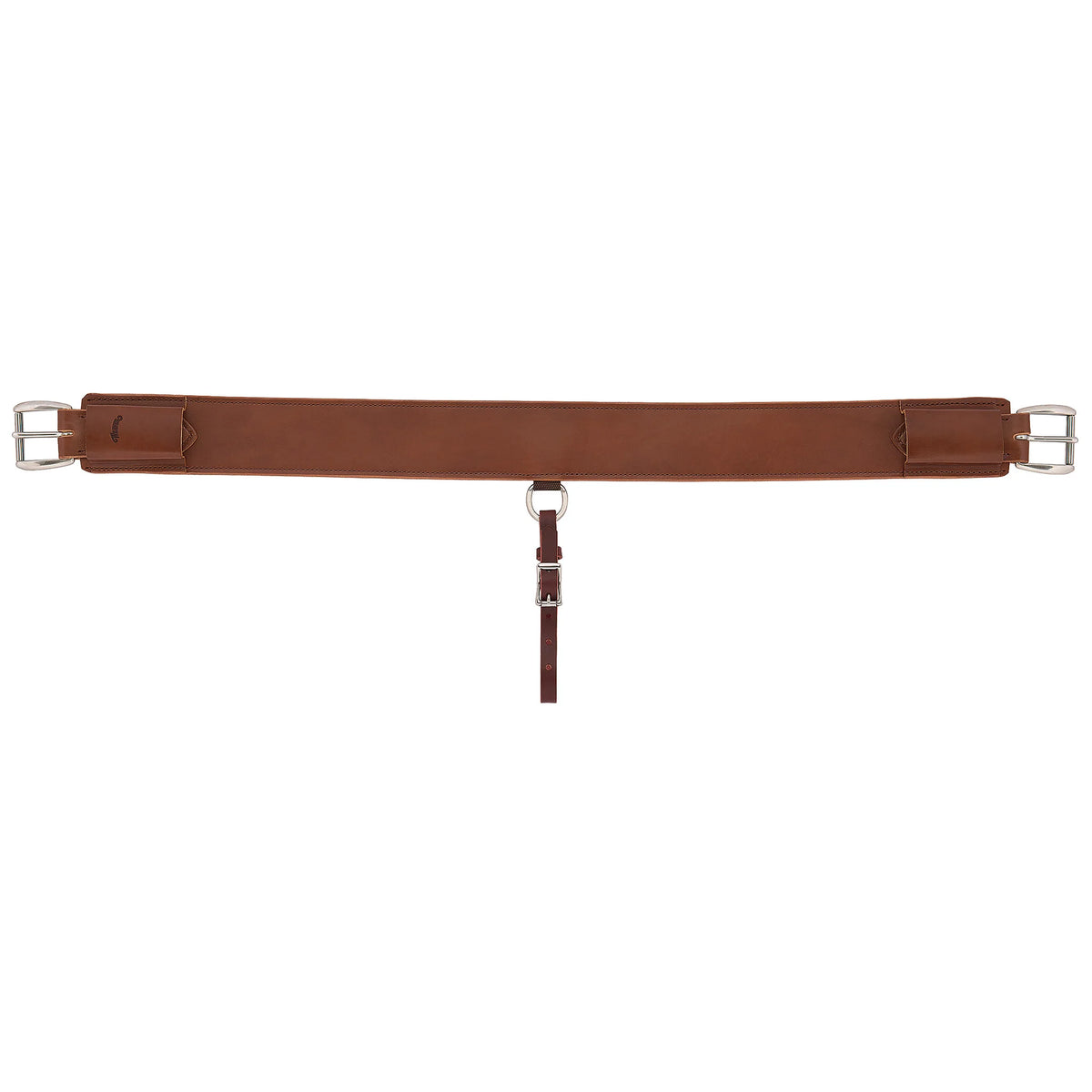 2026 WV Back Cinch: Heavy-Duty, 3" Wide