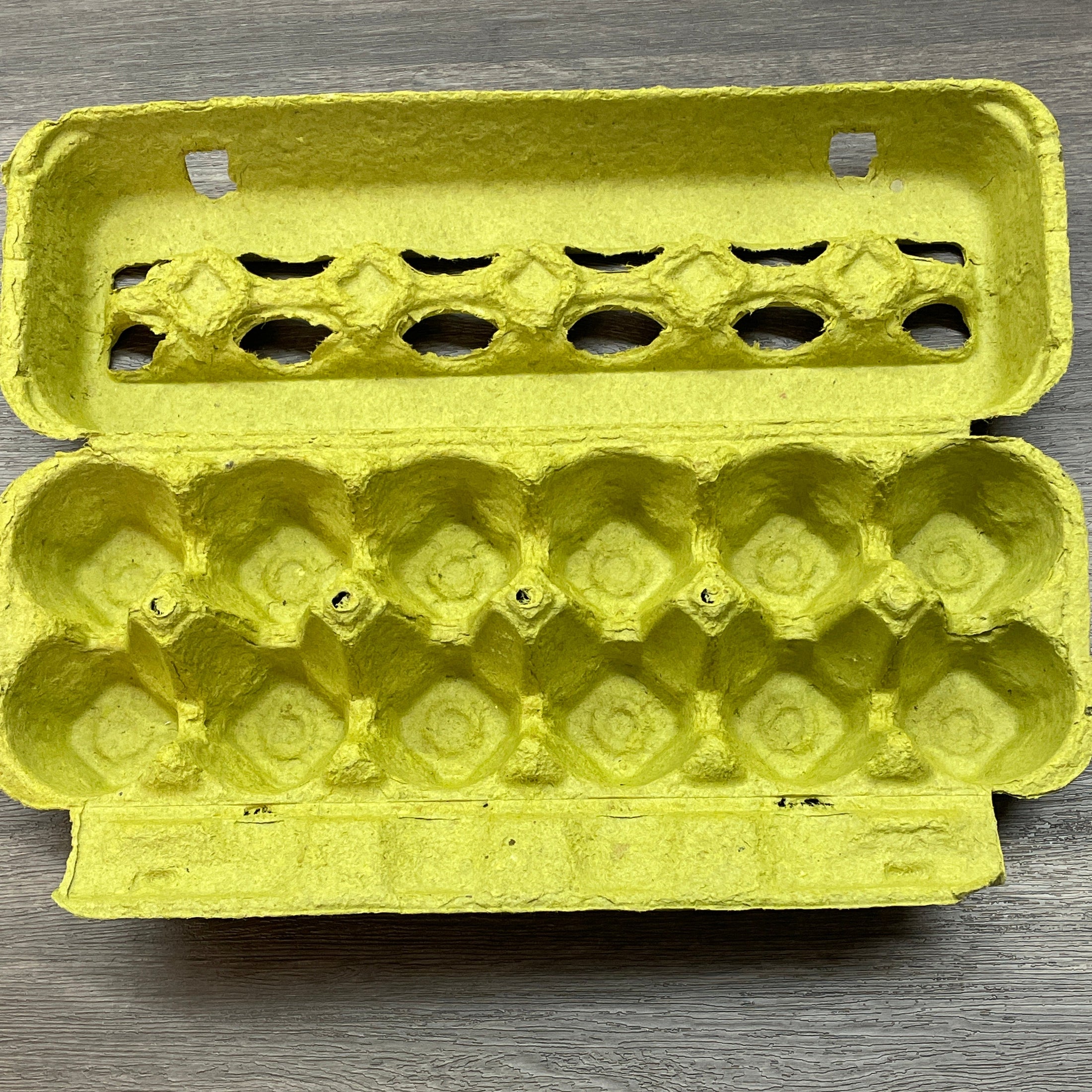EGG CARTON, LIME