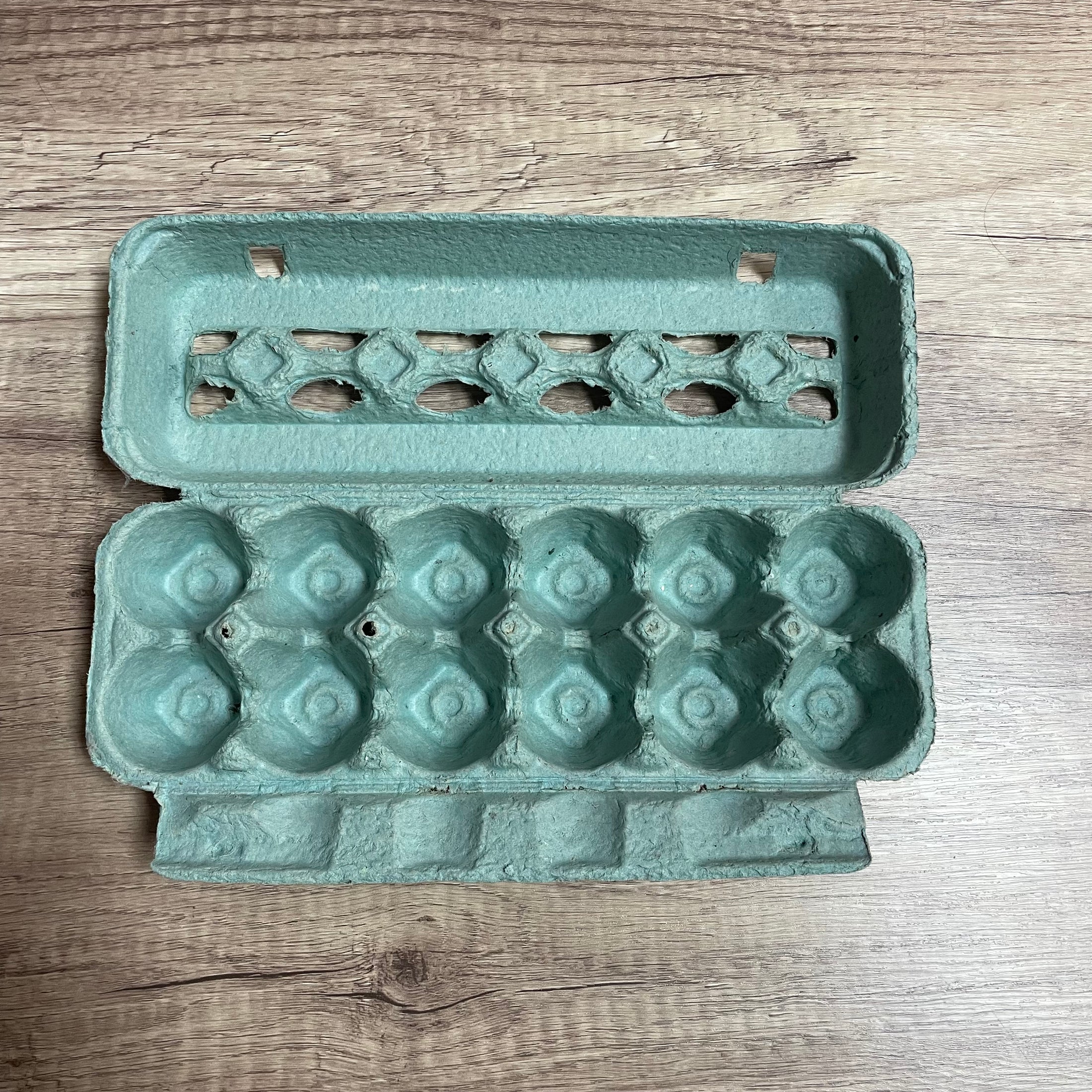EGG CARTON TEAL