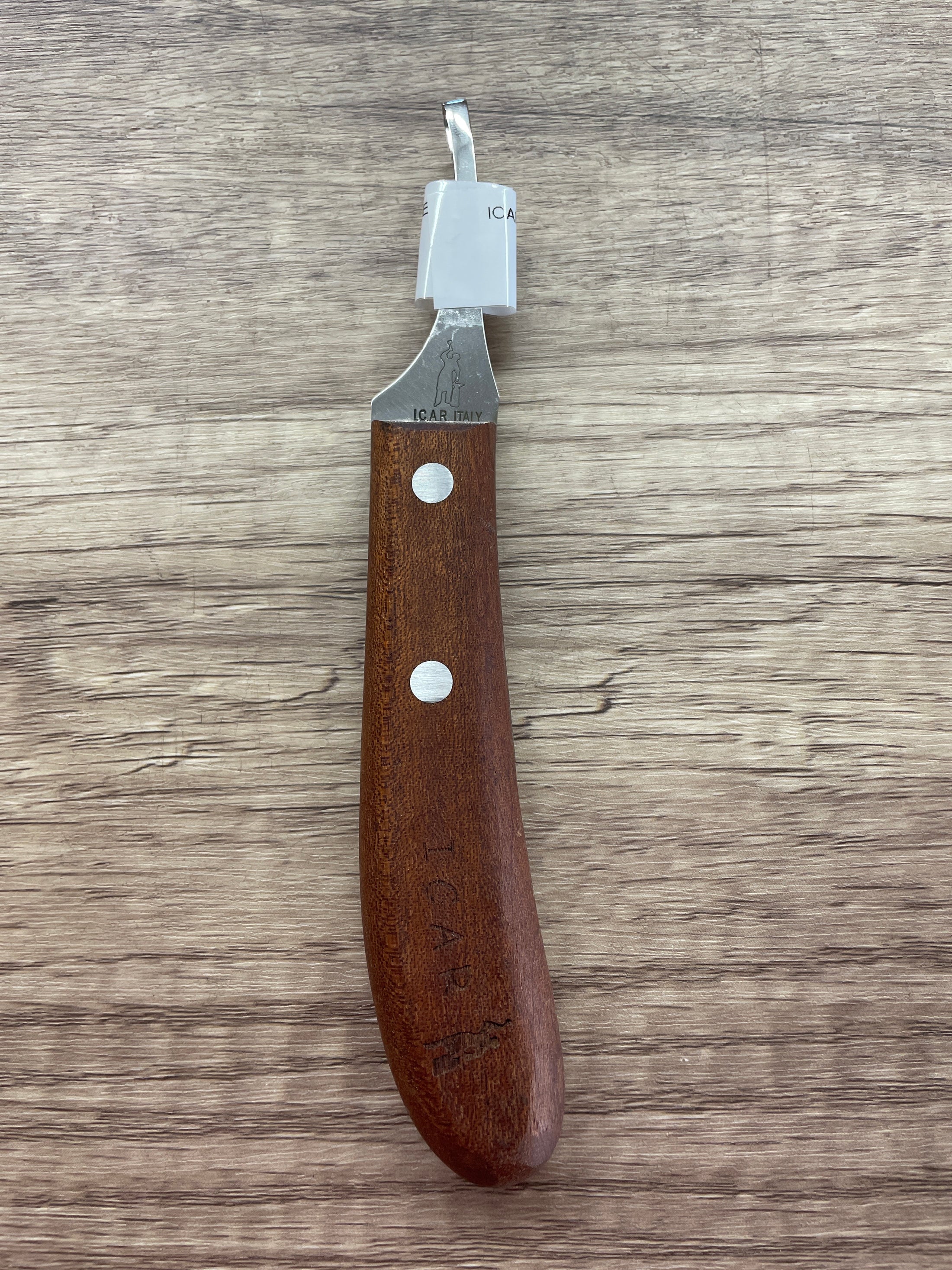 ICAR LOOP KNIFE, ABSCESS