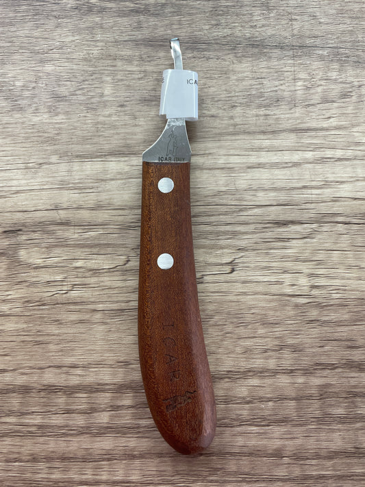 ICAR LOOP KNIFE, ABSCESS