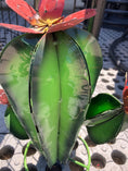 Load image into Gallery viewer, GREEN CACTUS, LARGE 17"
