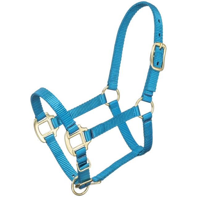 MINI HALTER TURQUOISE-HALTER : MINI