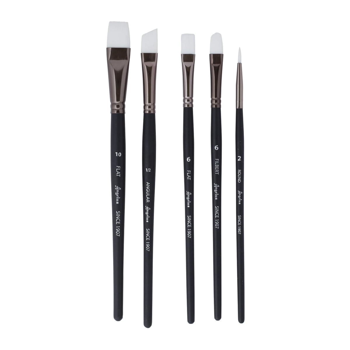 ANEGLUS PAINT BRUSH KIT