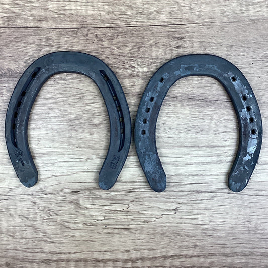K SX10 1 Hind DISC