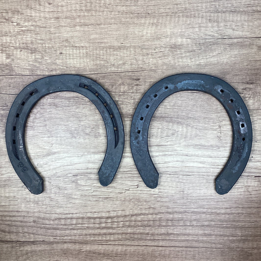 Workhorse 8 Front UNCLIPPED-DRAFT