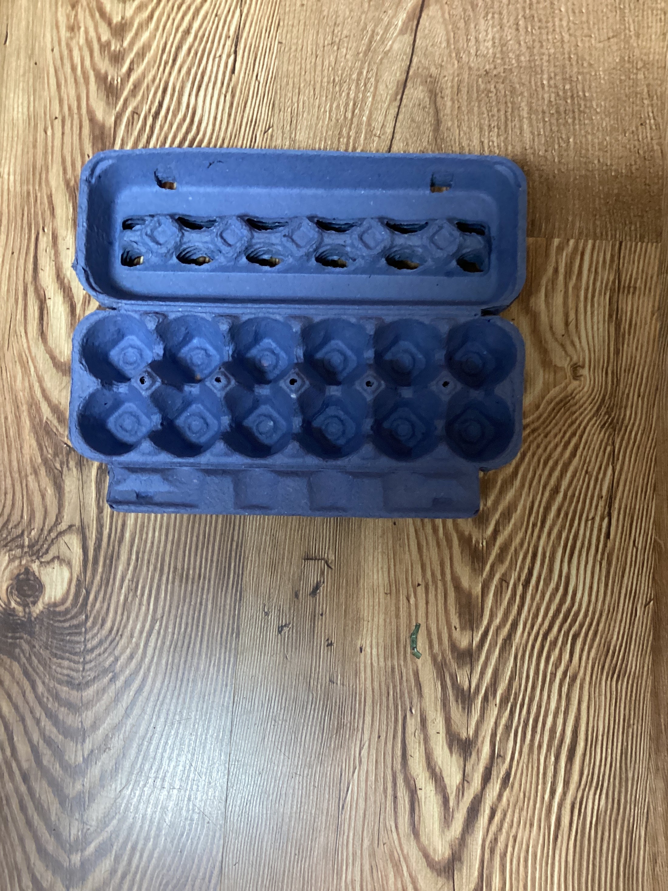 EGG CARTON, BLUE