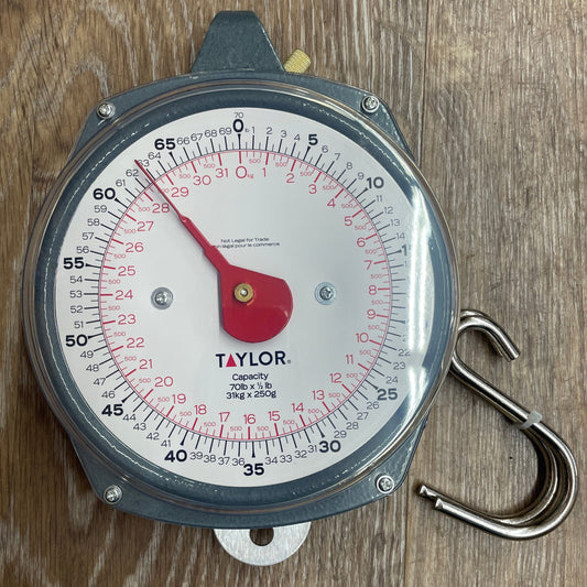HIGH CAPACITY HANGING SCALE