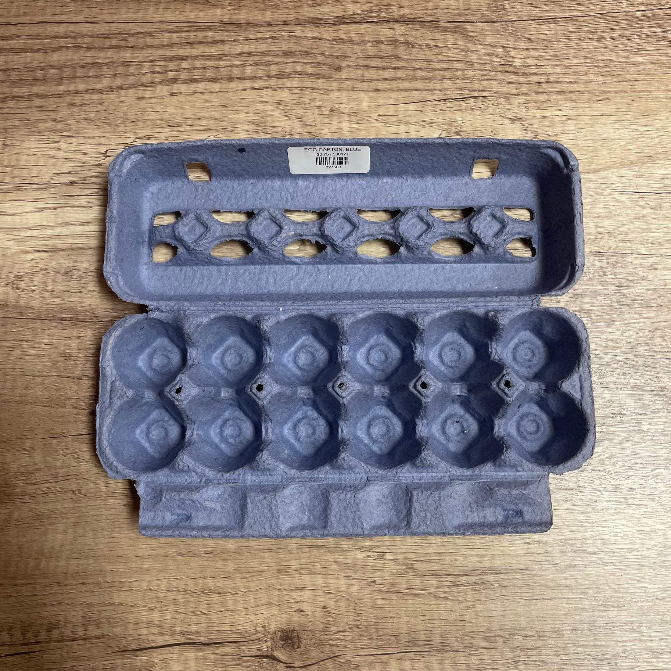 *EGG CARTON BLUE