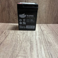 Load image into Gallery viewer, 6 Volt Battery (New S20/S10)
