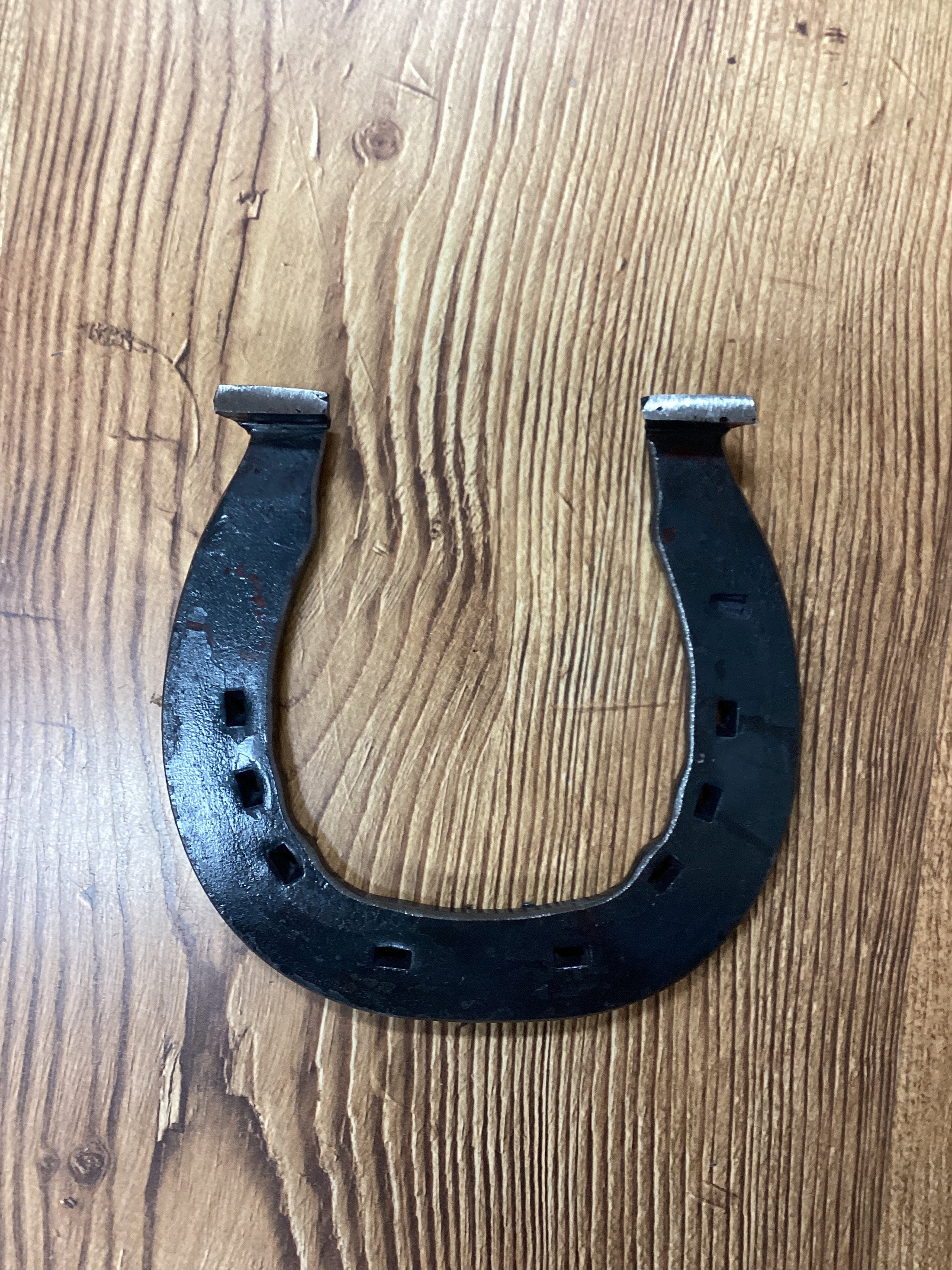 LUCKY HORSESHOE