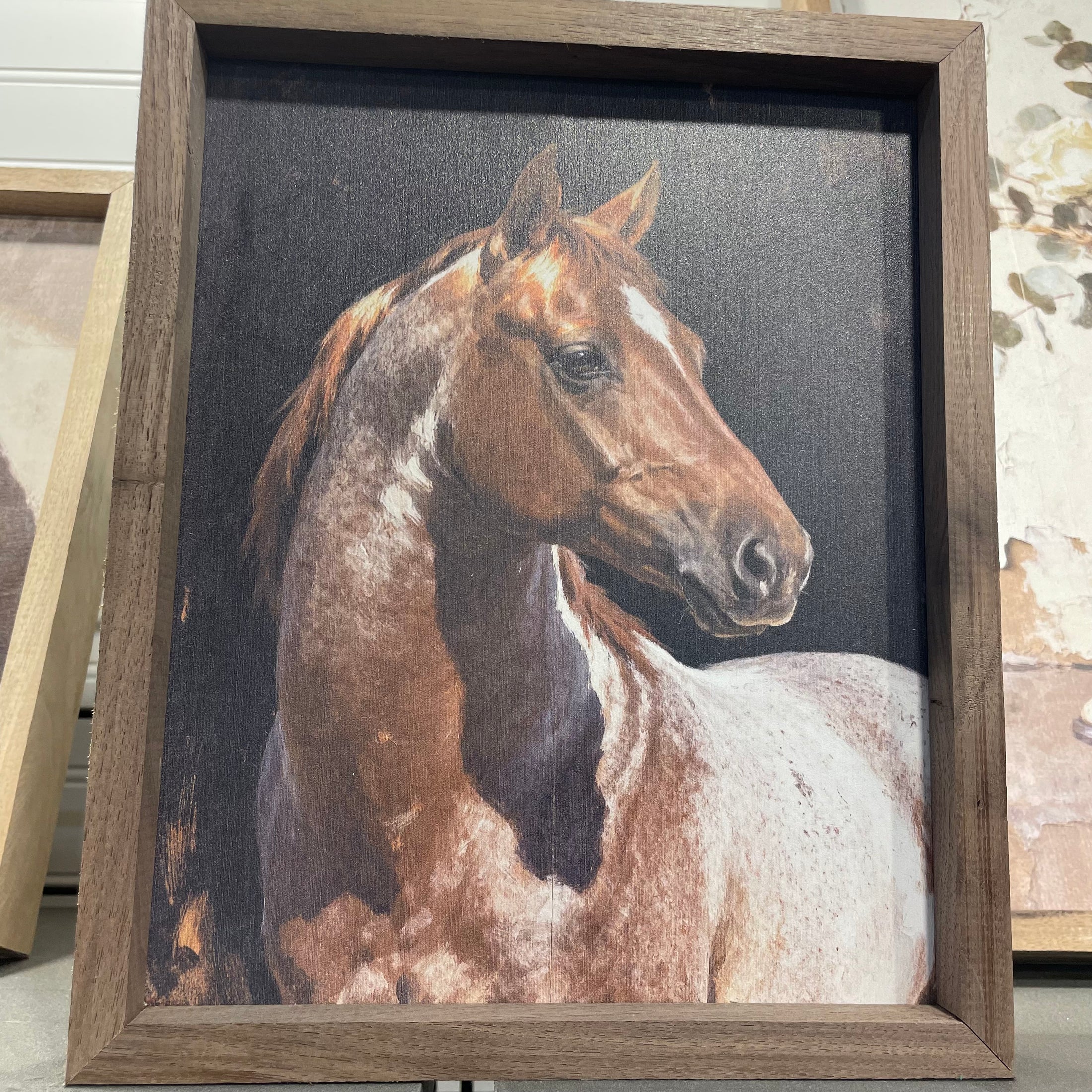 FRAMED: RED ROAN GAZE 8 X 10