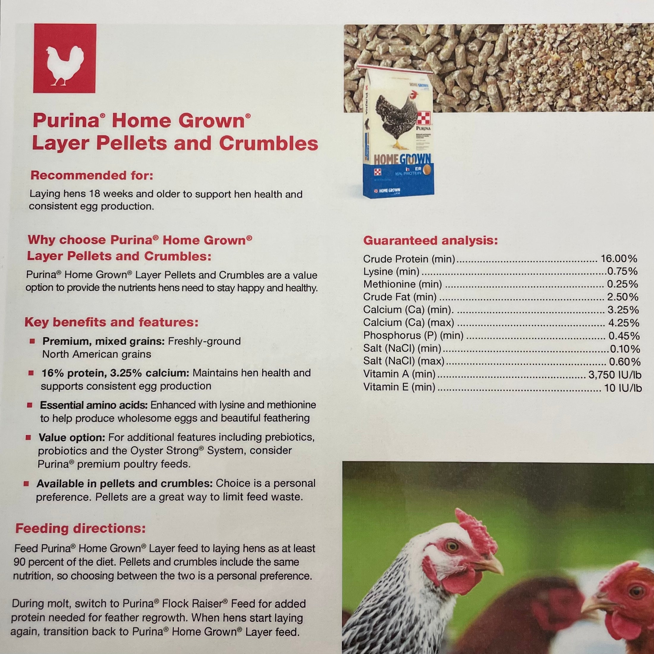 HOMEGROWN LAYER CRUMBLE 50lb-CHICKEN : 50#