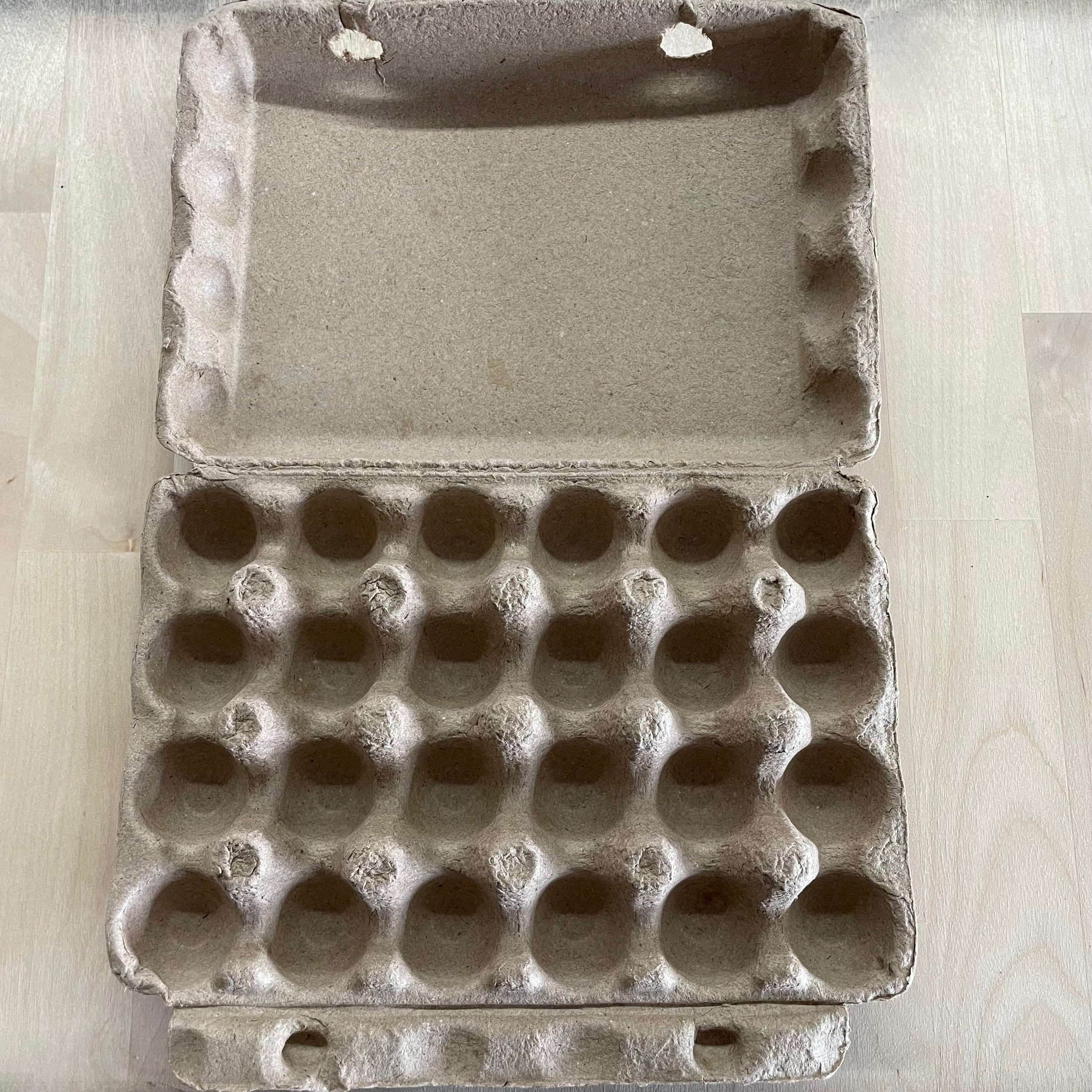 QUAIL EGG CARTON, 24 COUNT, BROWN