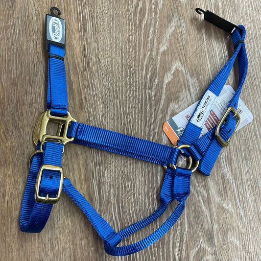 YEARLING HALTER ROYAL BLUE-HALTER : YEARLING
