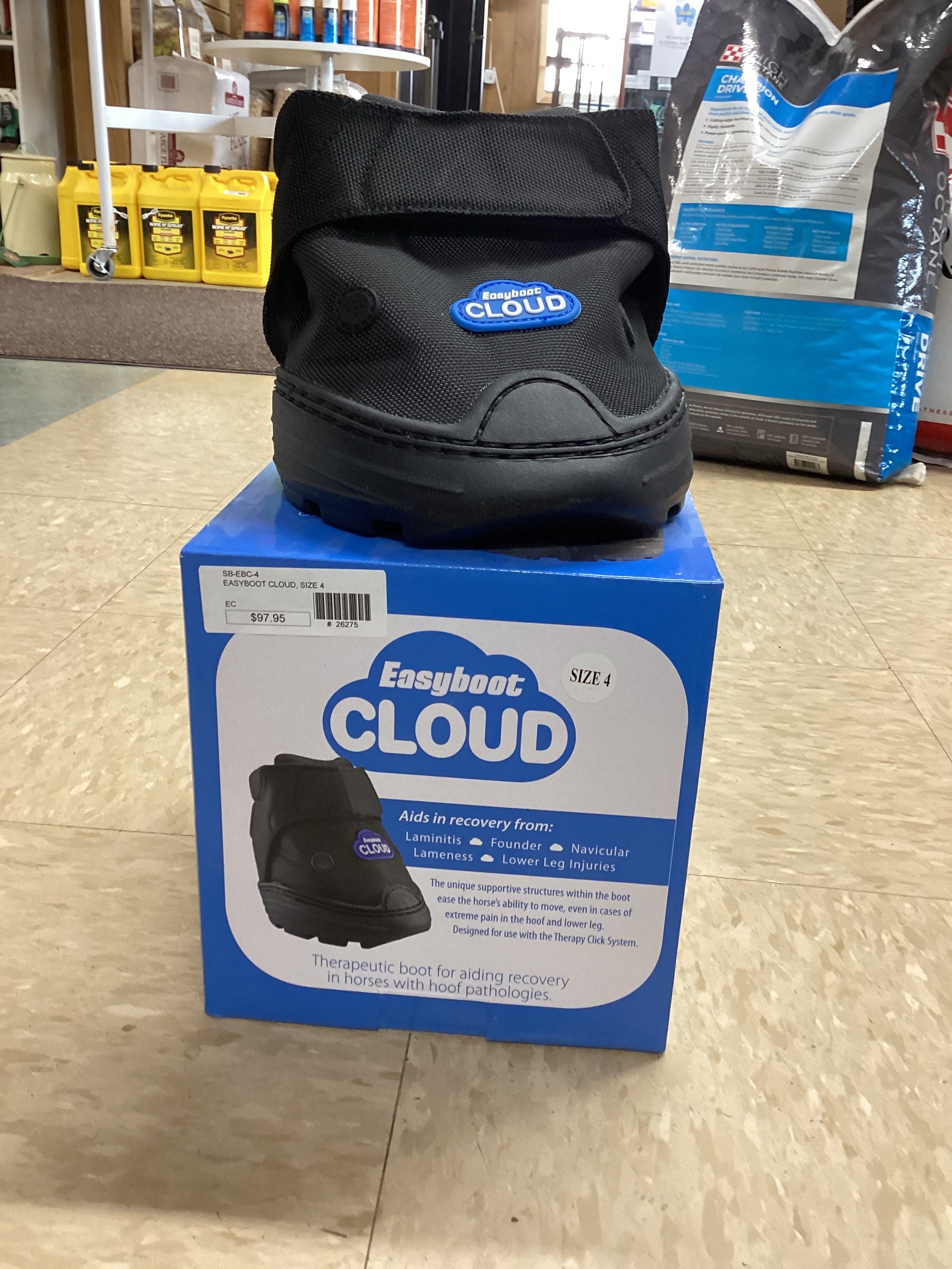 EASYBOOT CLOUD, SIZE 4