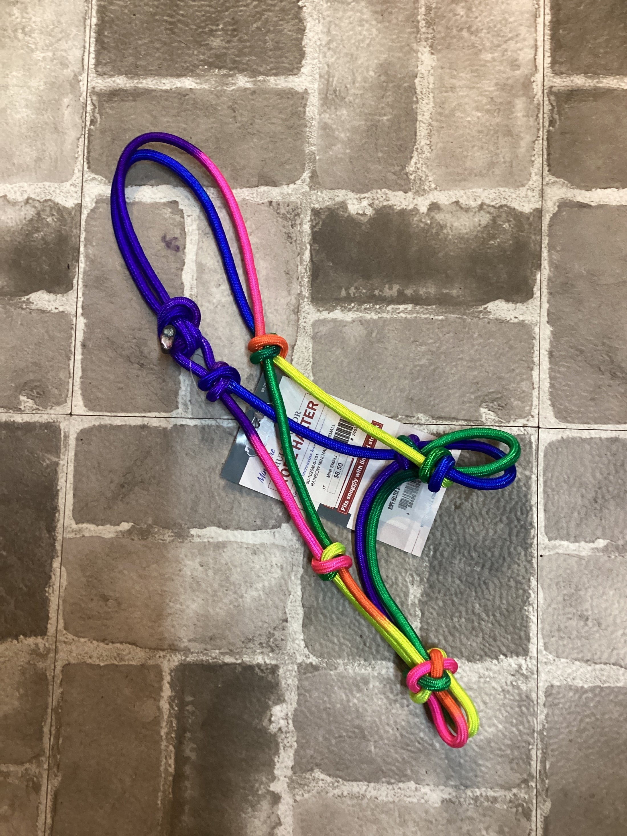 RAINBOW MINI HALTER, SMALL-MINI SMALL