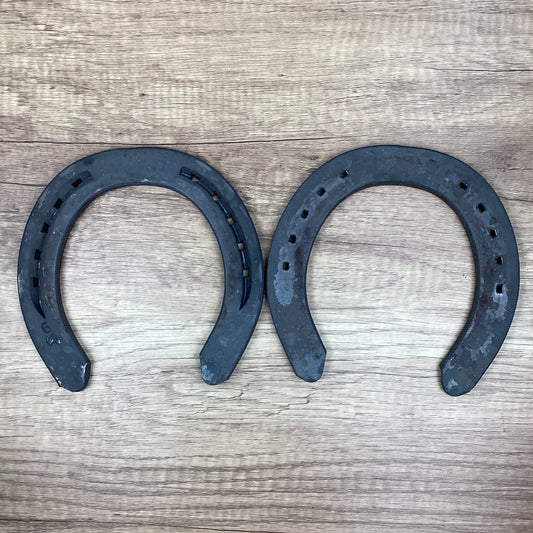 Workhorse 6 Front UNCLIPPED-DRAFT