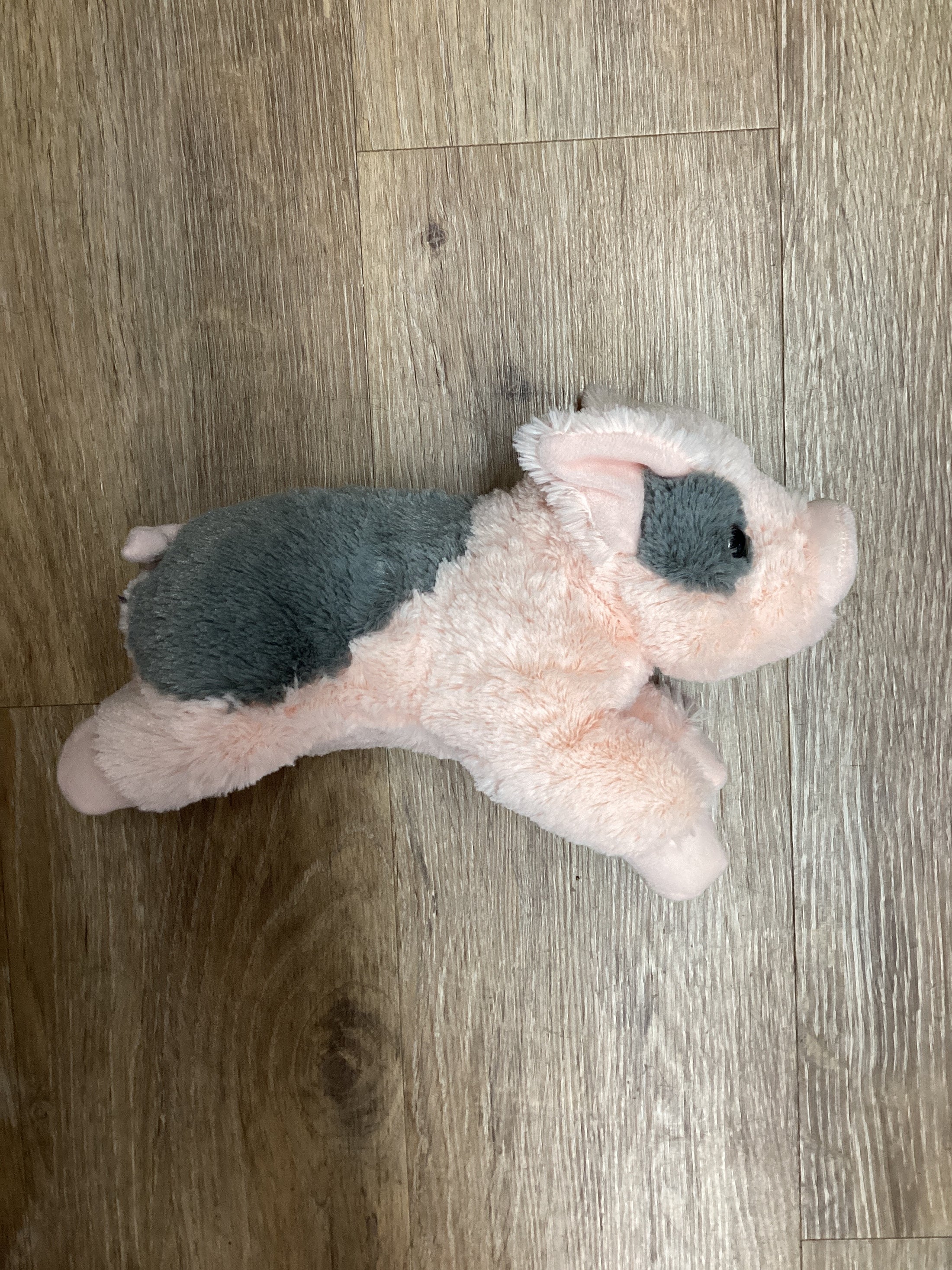 *PIG PLUSH