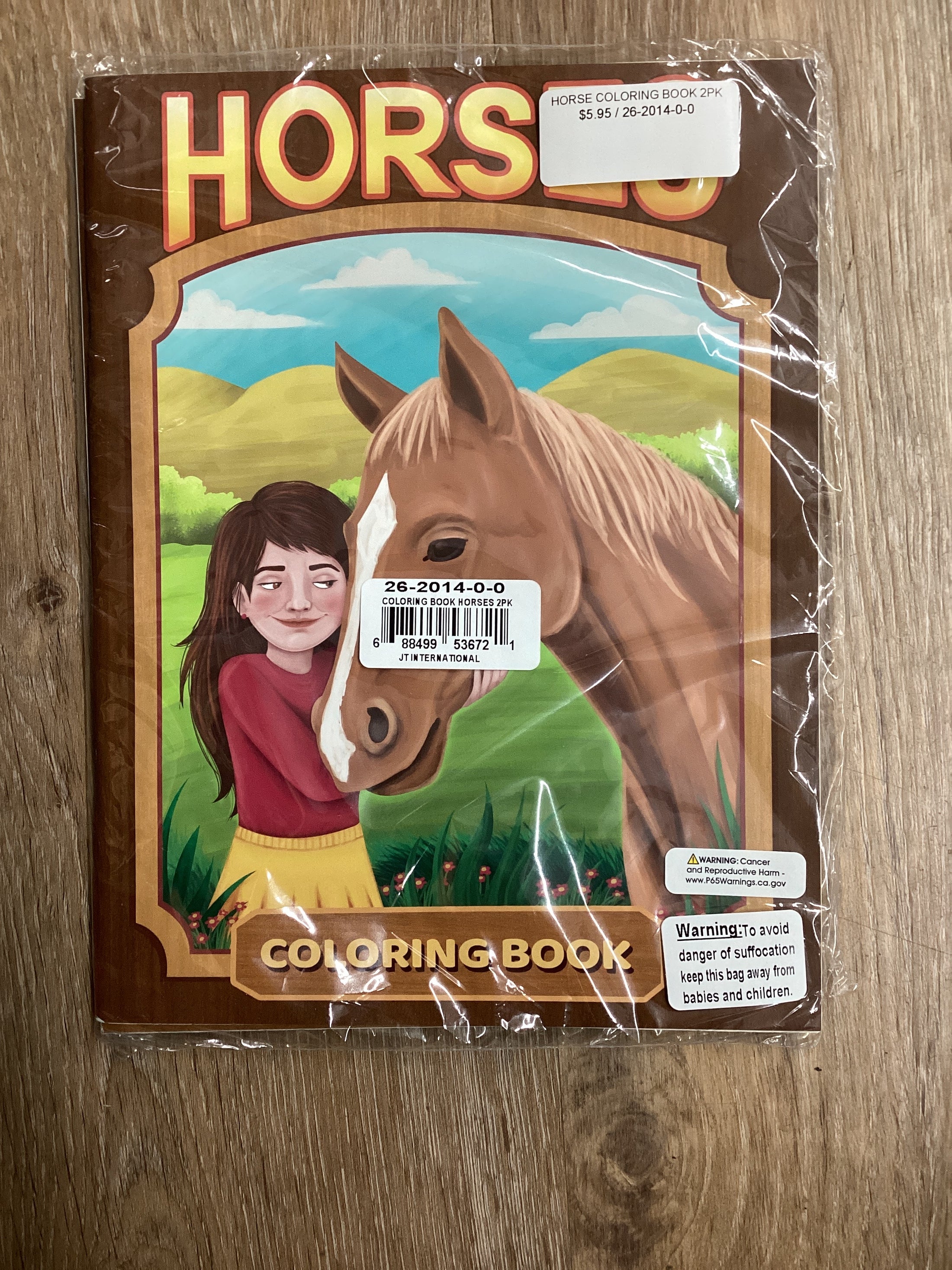 HORSE COLORING BOOK 2PK