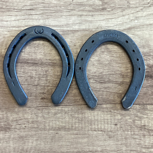 WERKMAN: MAVERICK 1 HIND