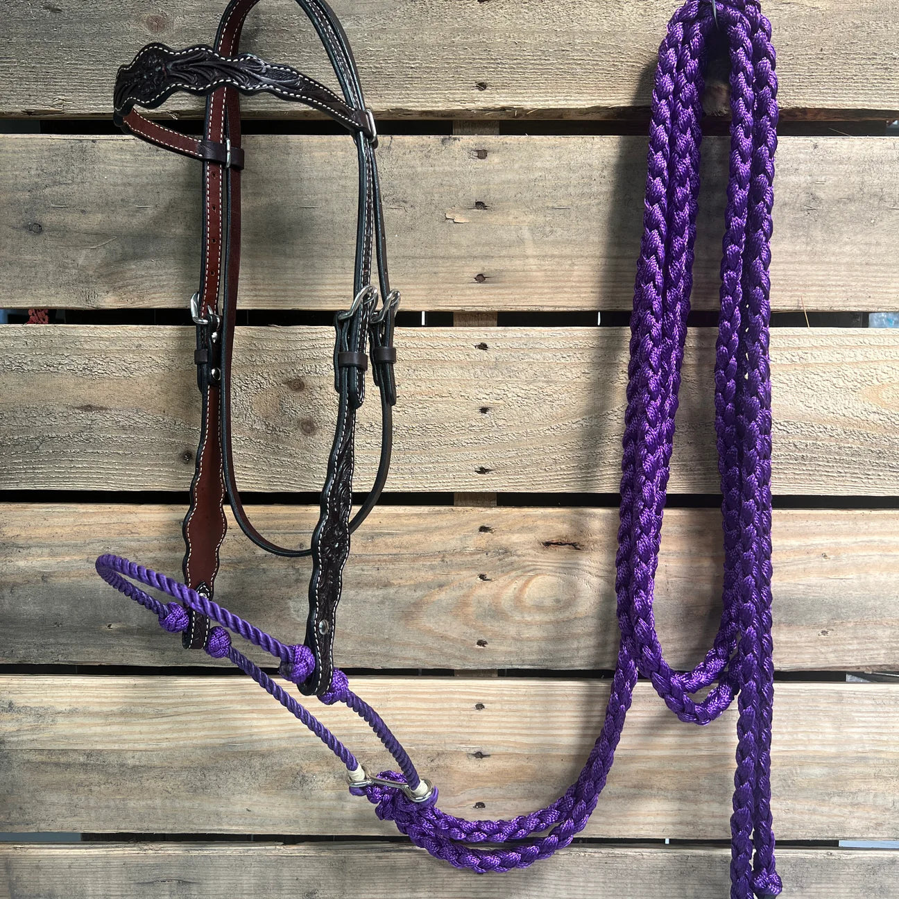 DARK OIL SCALLOPED PURPLE LOPING HACKAMORE