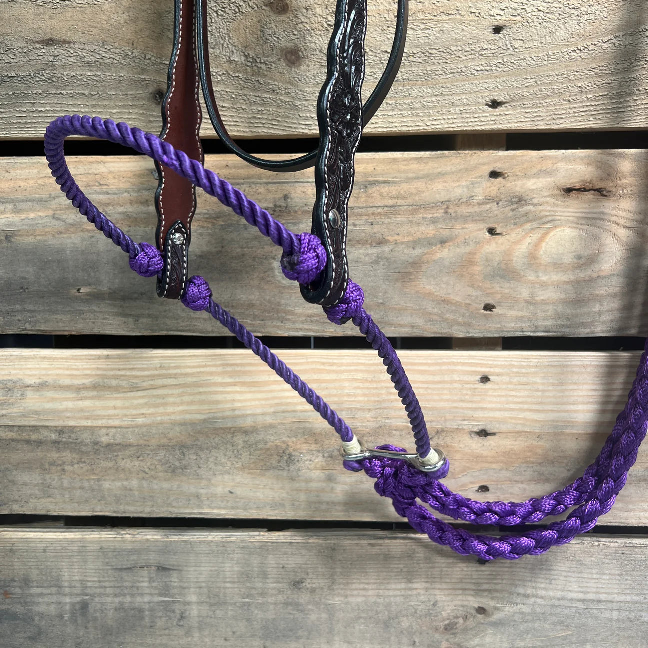 DARK OIL SCALLOPED PURPLE LOPING HACKAMORE