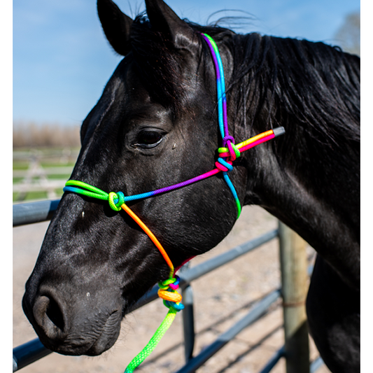 Rainbow Poly Halter With Lead Rope
