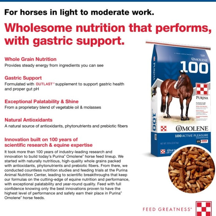 MP PUR HORSE - OMOLENE 100 ACTIVE PLEASURE 50LB