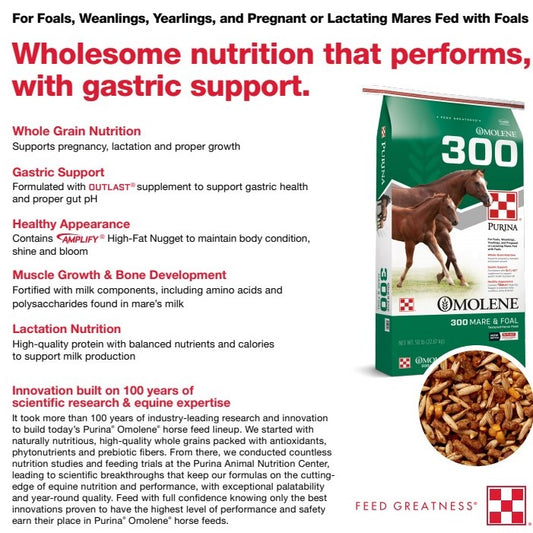 Omolene 300 MARE AND FOAL-HORSE FEED : 50#