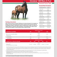 Load image into Gallery viewer, MP PUR HORSE - OMOLENE 300 MARE & FOAL 50LB
