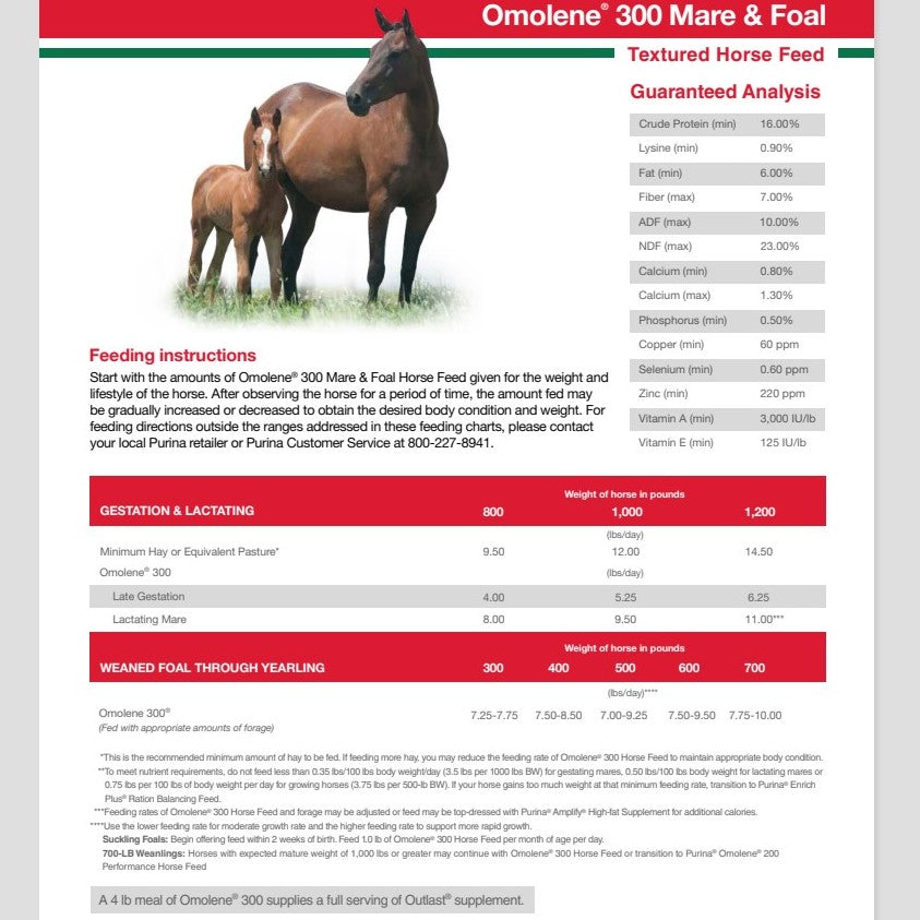 MP PUR HORSE - OMOLENE 300 MARE & FOAL 50LB
