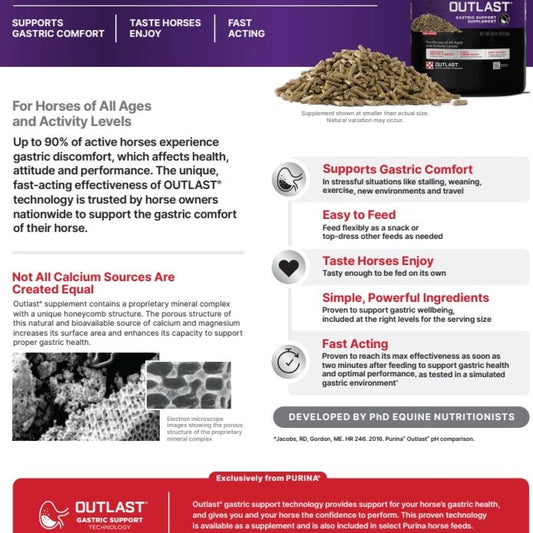 Outlast 40lb. Bag-HORSE : 40#