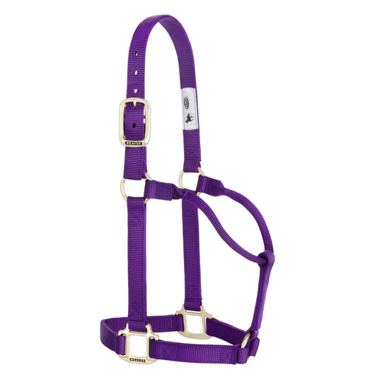 2026 WV Halter: Original Non-Adjustable, Small, Purple