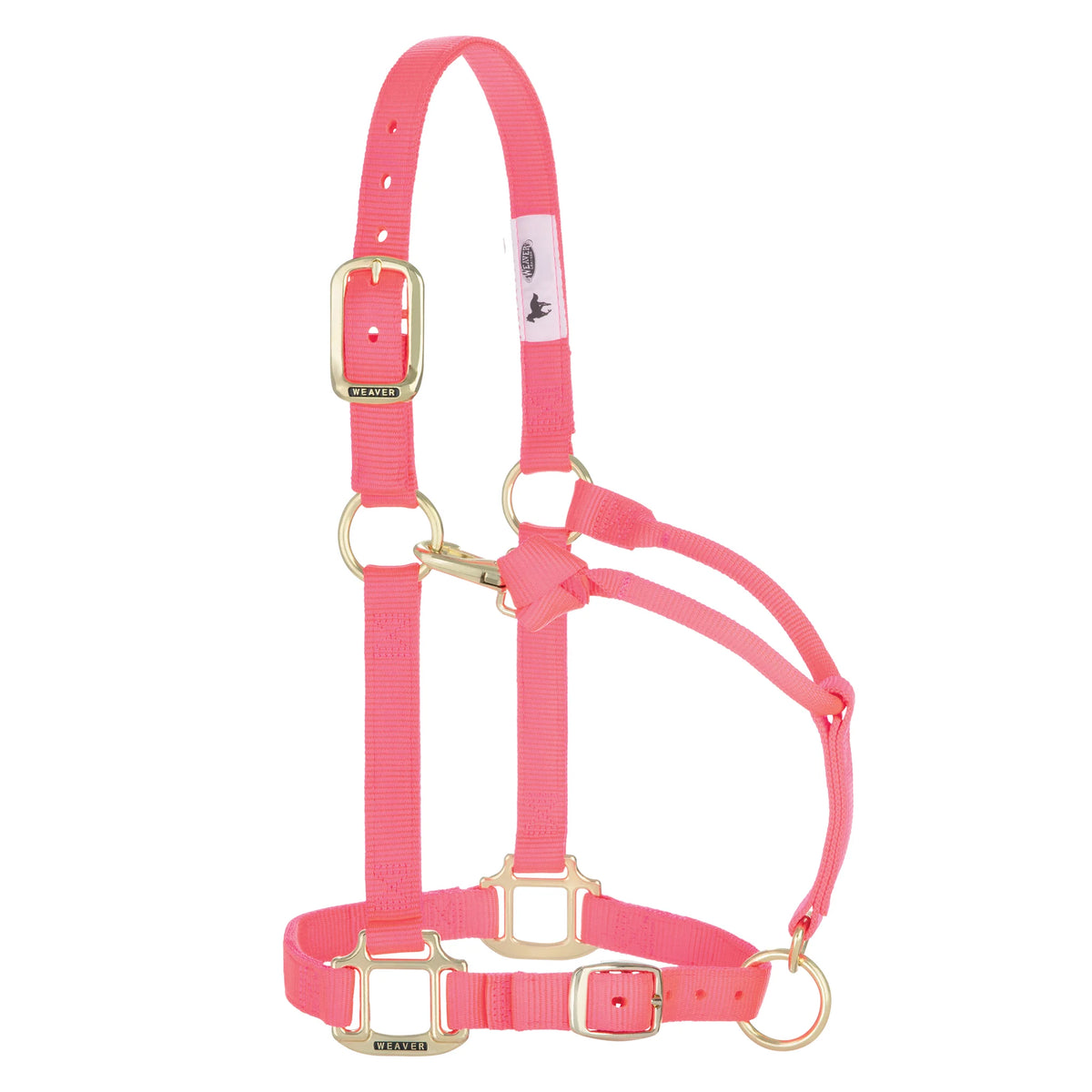 2026 WV Halter: Original Adjustable, Small, Diva Pink