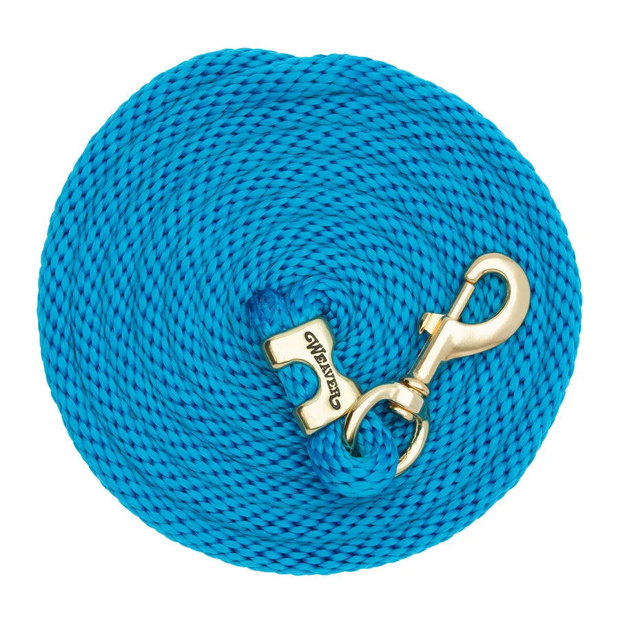 2026 WV Lead: Poly Rope, Brass Snap, 10' Hurricane Blue