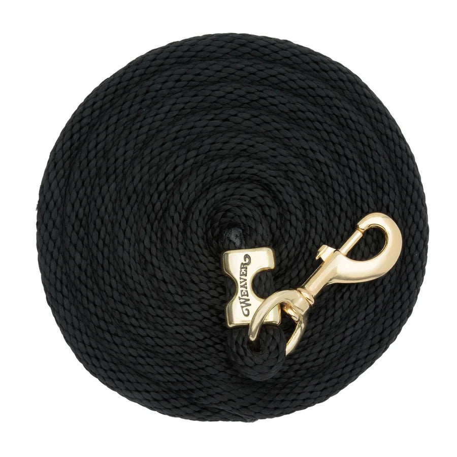 *2026 WV Lead: Poly Rope, Brass Snap, 10' Black