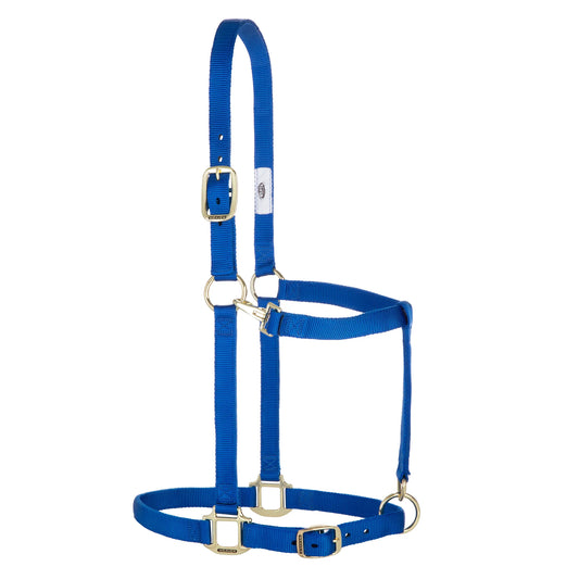 2026 WV Halter: Original Adjustable, Draft, Average, Blue