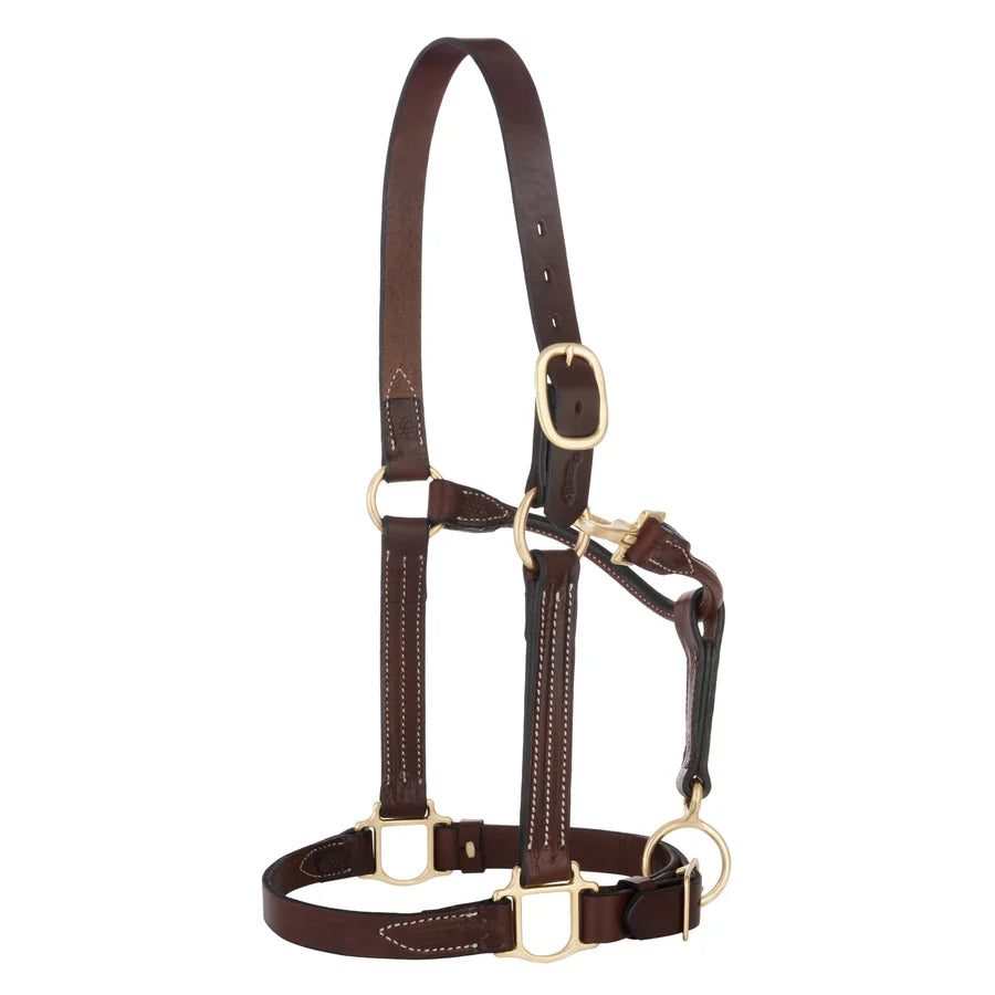 2026 WV Halter: 1" Basic Leather, Brown
