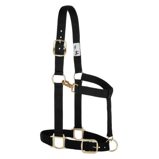 2026 WV Halter: Original Adjustable, Draft, Large, Black