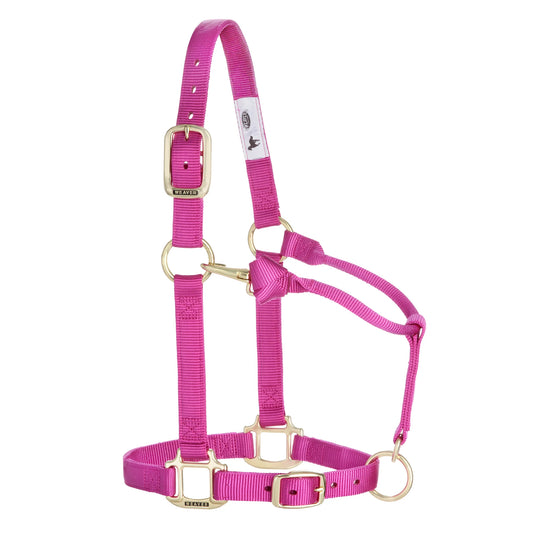 2026 WV Halter: Original Adjustable, Average, Raspberry