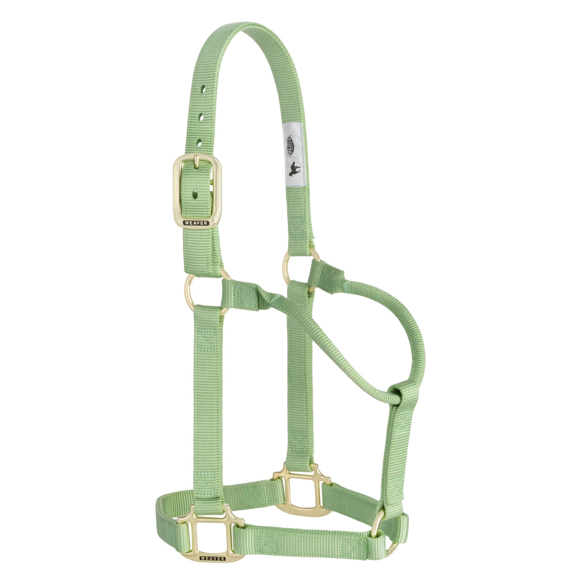 2026 WV Halter: Original Non-Adjustable, Small, Pistachio