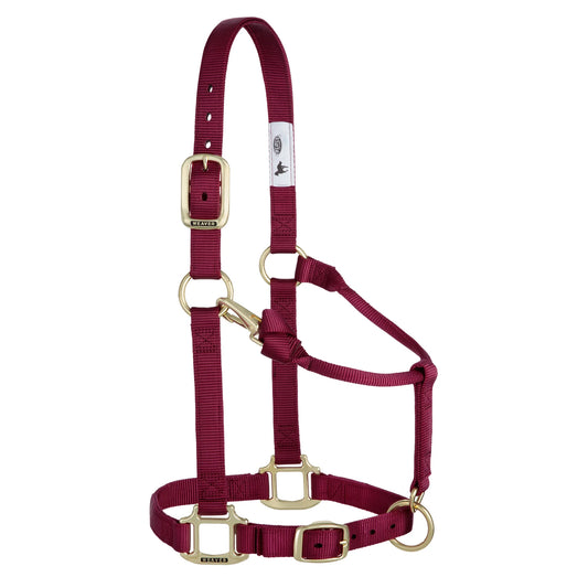2026 WV Halter: Original Adjustable, Average, Burgundy