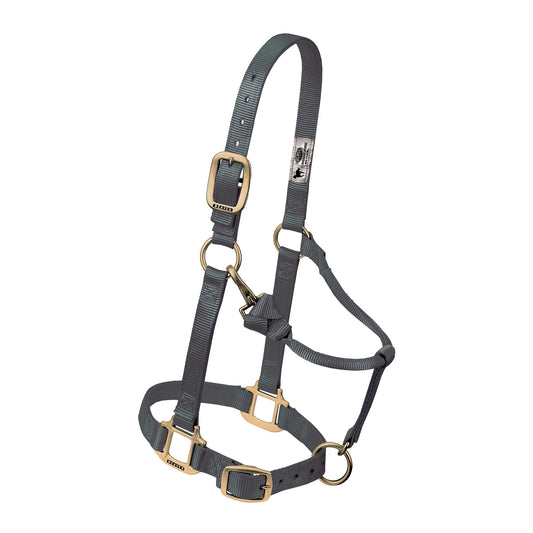 2026 WV Halter: Original Adjustable, Suckling, Graphite