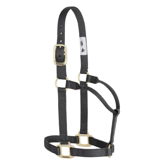 2026 WV Halter: Original Non-Adjustable, Average, Graphite