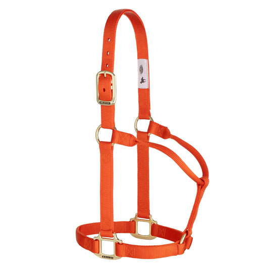 2026 WV Halter: Original Non-Adjustable, Average, Orange