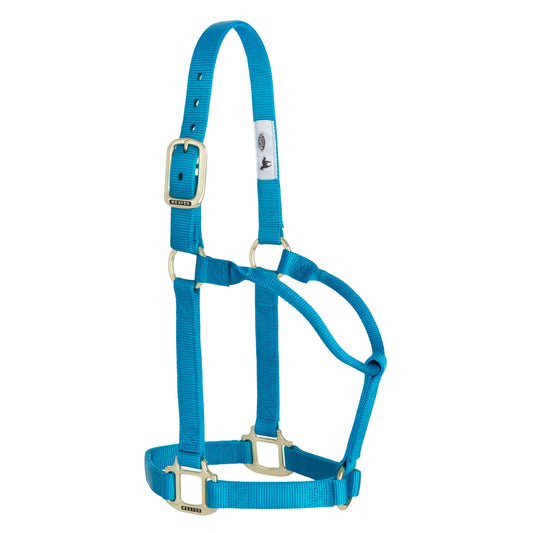 2026 WV Halter: Original Non-Adjustable, Average, Hurricane Blue