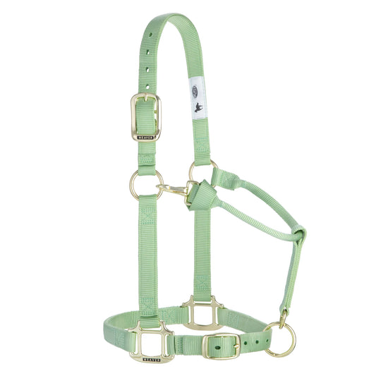 2026 WV Halter: Original Adjustable, Average, Pistachio